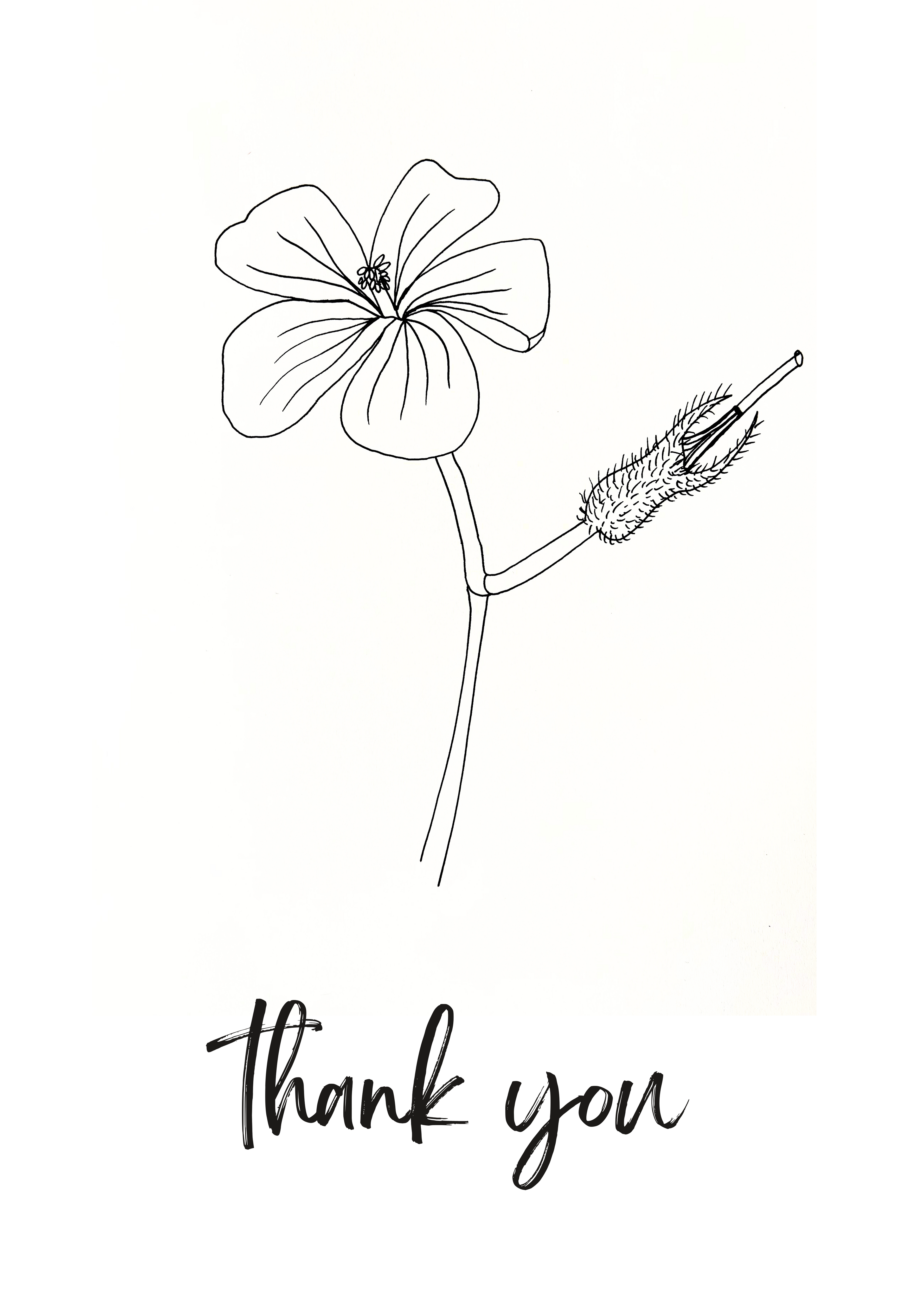 Thank you cards