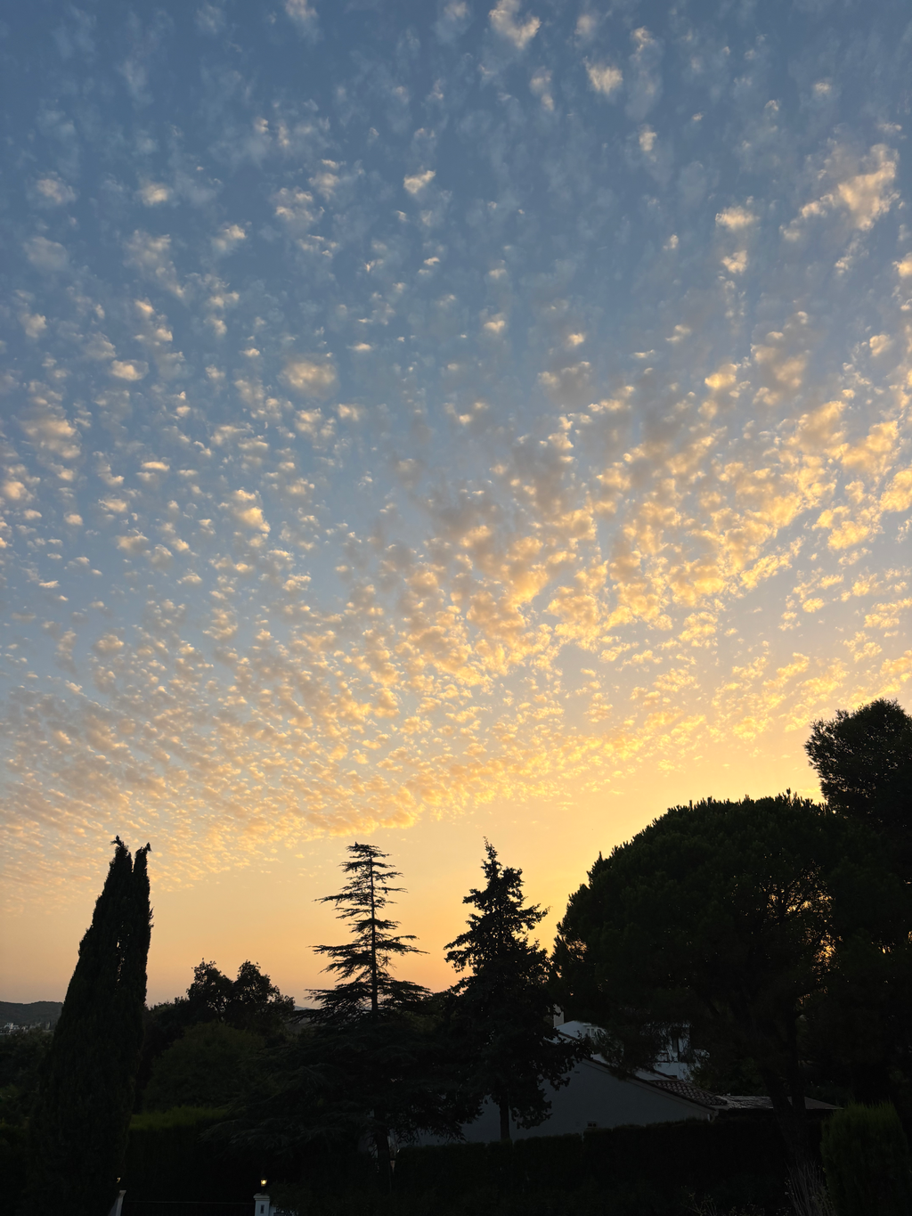 Dusk I